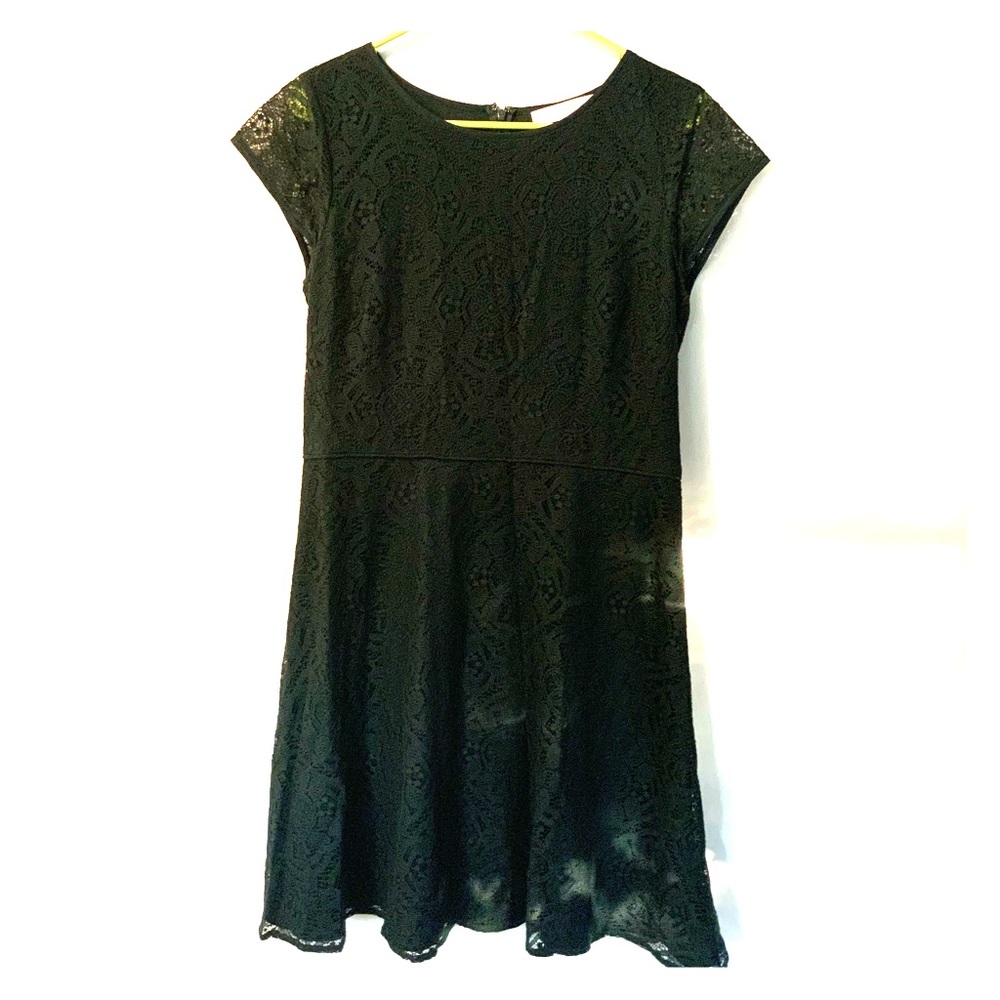 Loft Green Lace Dress